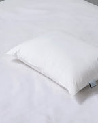 Synthetic Pillow