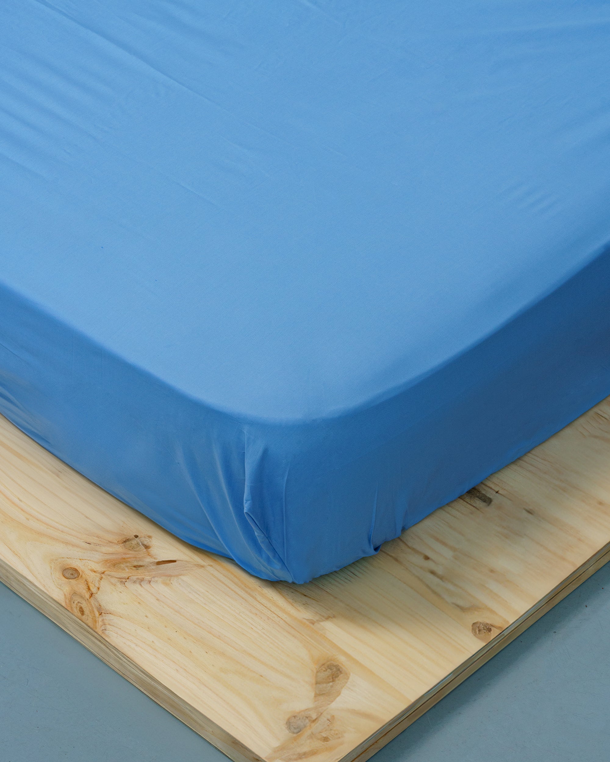 Fitted sheet - 200 thread count percale (Blue)