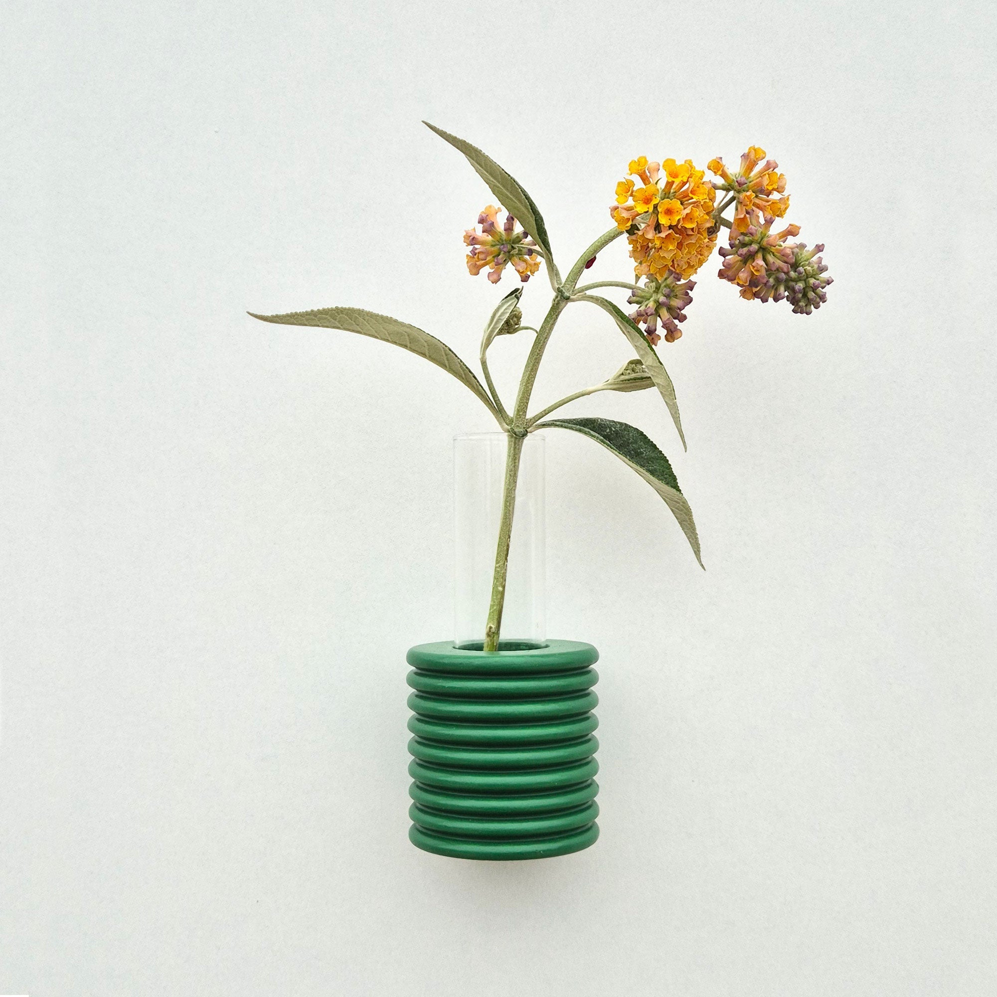 Modern Ribble Wooden Wall Vases | 7 Colour Options