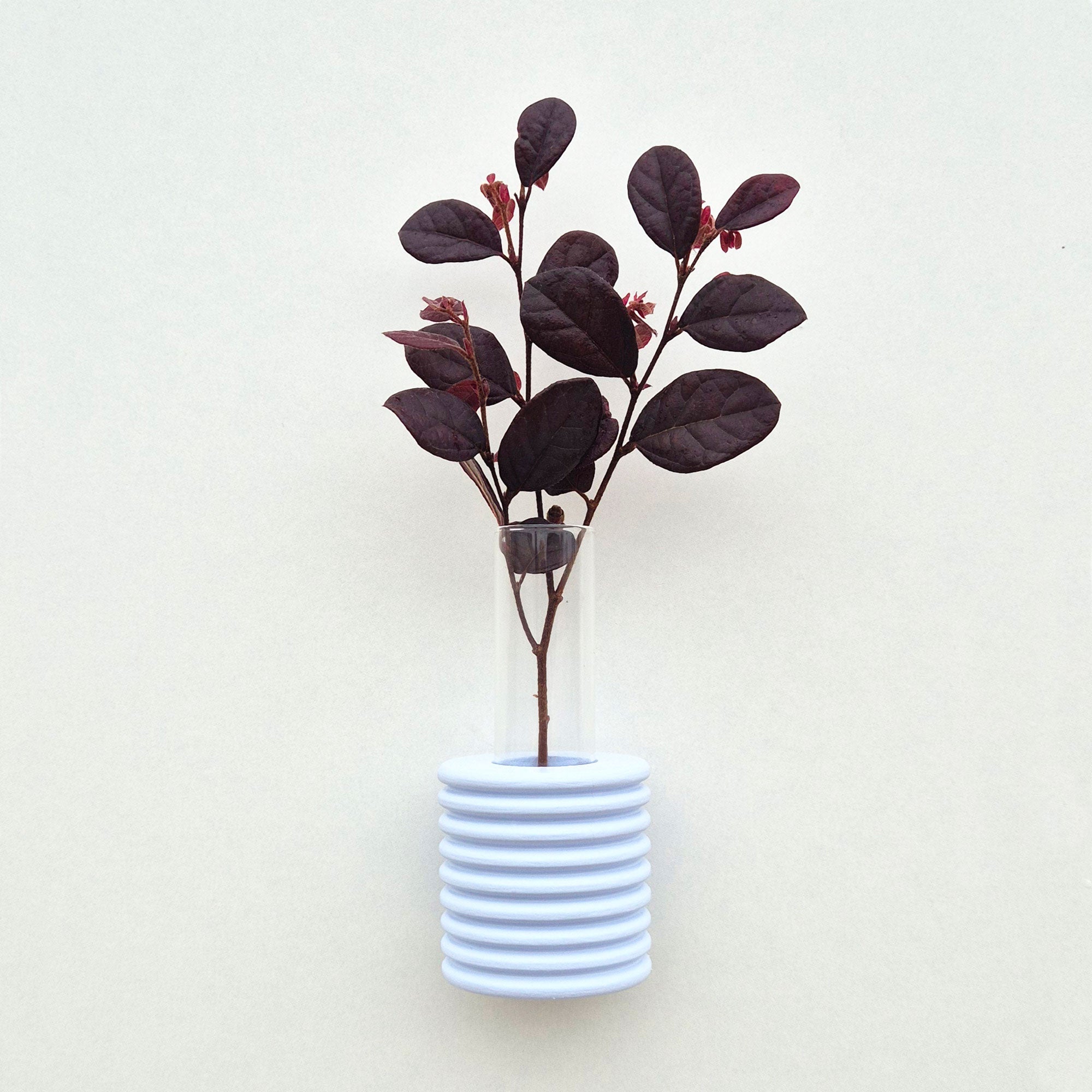 Modern Ribble Wooden Wall Vases | 7 Colour Options