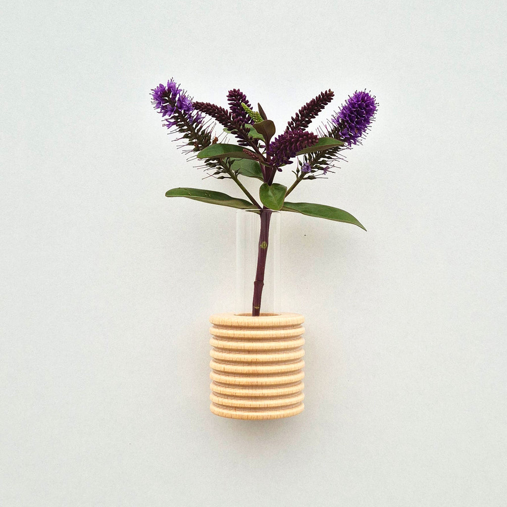 Modern Ribble Wooden Wall Vases | 7 Colour Options