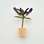 Modern Ribble Wooden Wall Vases | 7 Colour Options