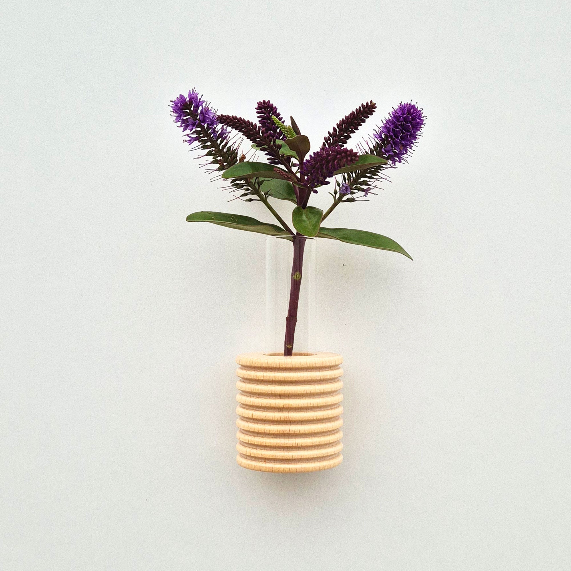 Modern Ribble Wooden Wall Vases | 7 Colour Options