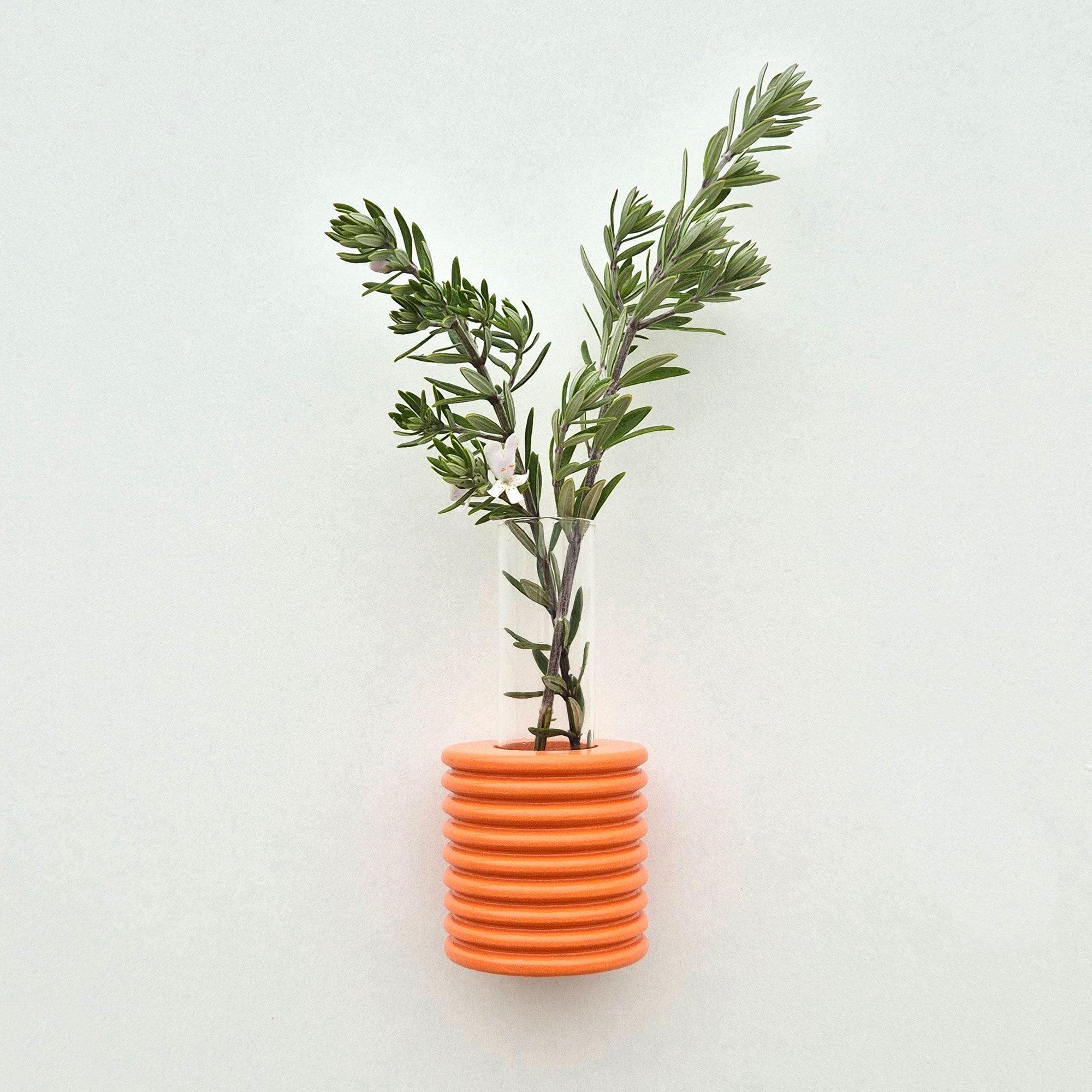 Modern Ribble Wooden Wall Vases | 7 Colour Options