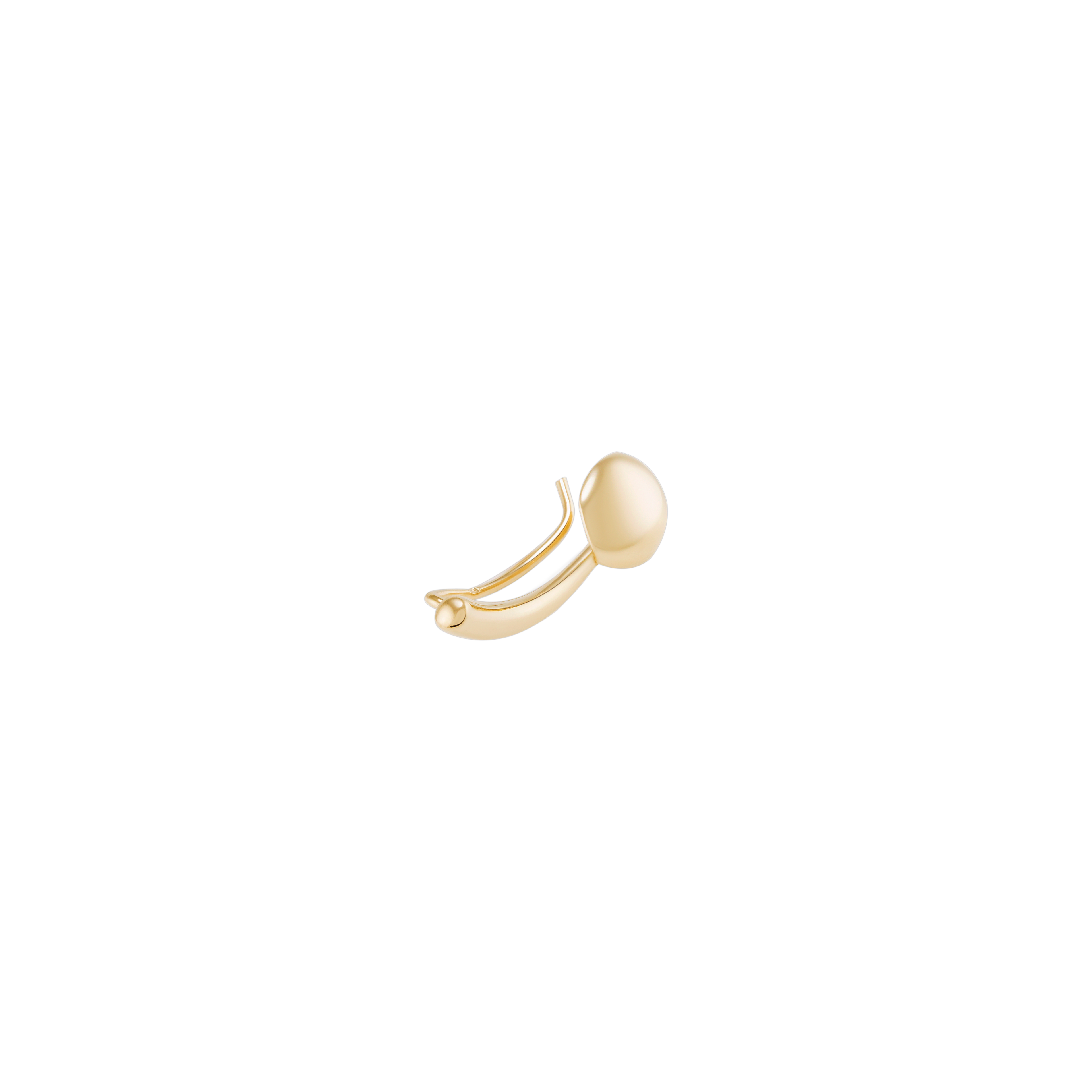 Healing Earring