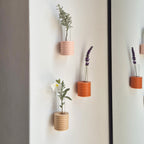 Modern Ribble Wooden Wall Vases | 7 Colour Options