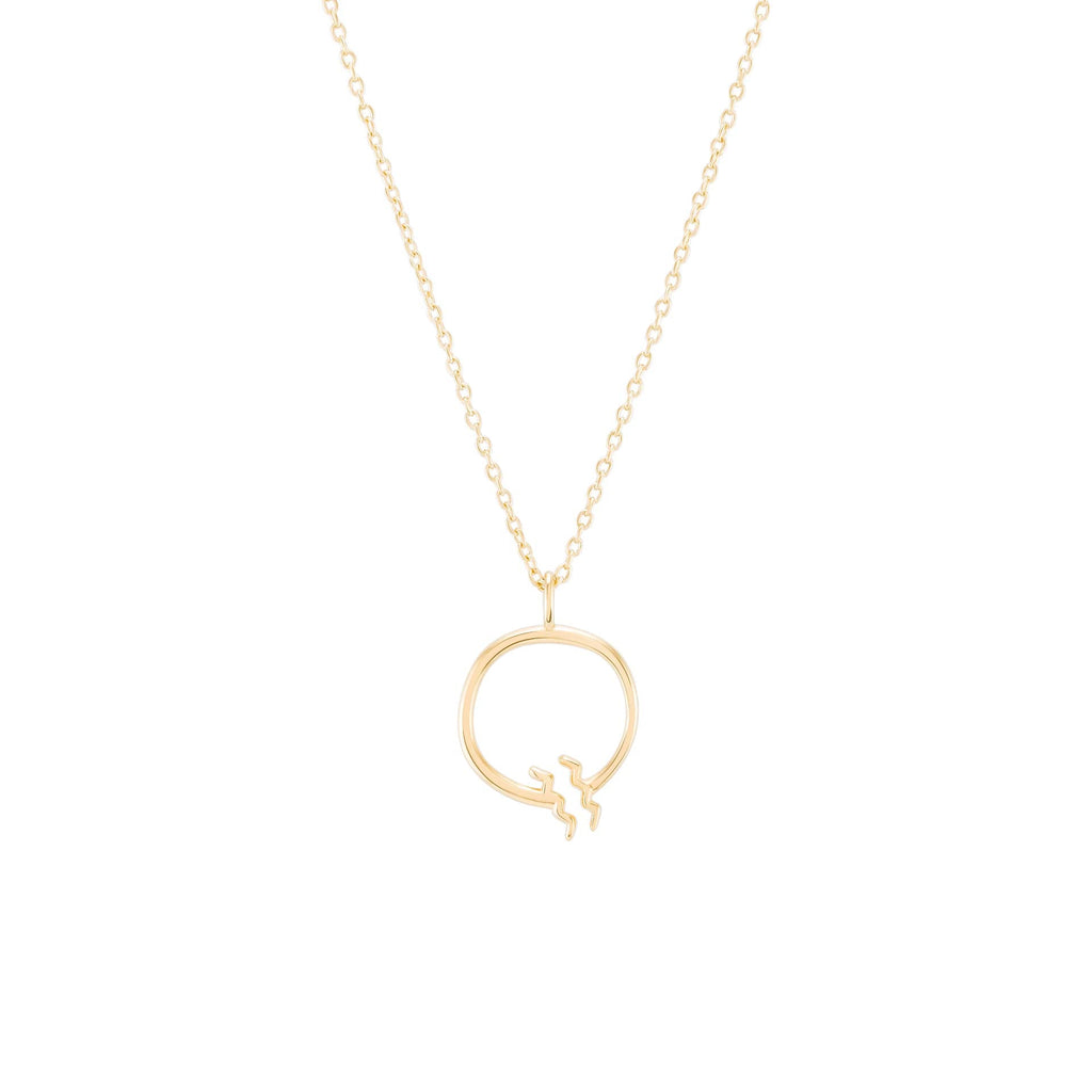 Zodiac Aquarius Necklace